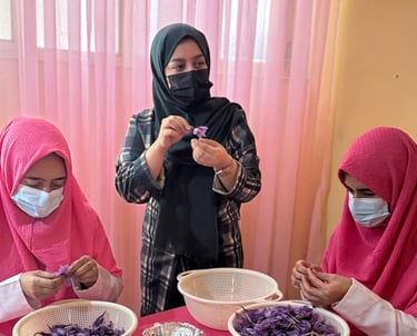 Img 0582 Behnoo Saljughi Mk3JWyy9pvcxMKQ5